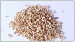 buckwheat